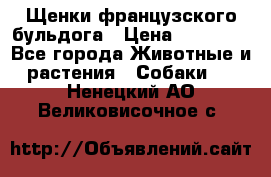 Щенки французского бульдога › Цена ­ 30 000 - Все города Животные и растения » Собаки   . Ненецкий АО,Великовисочное с.